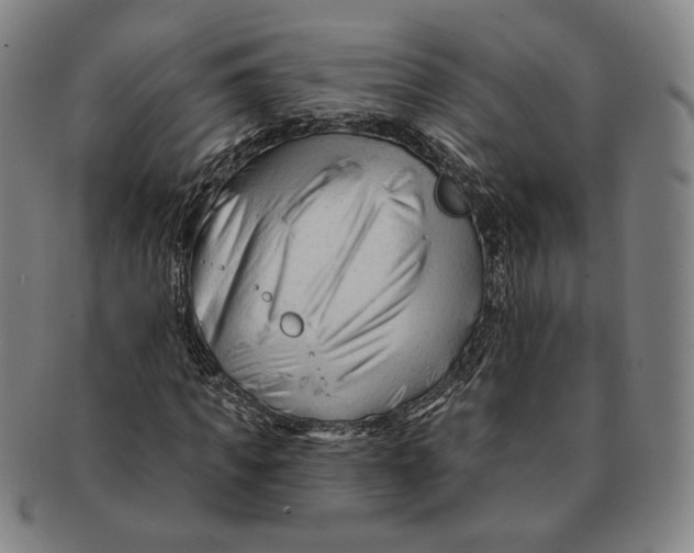 X0000090970917200708301222