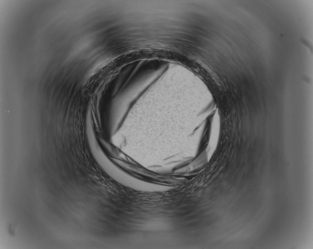 X0000090970919200708301222