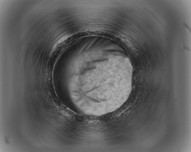 X0000090970920200708301222