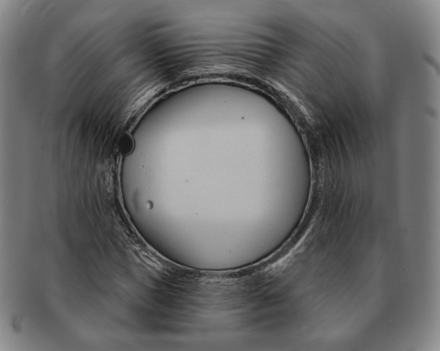 X0000090970921200708301222