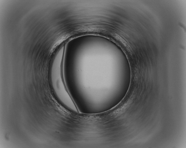 X0000090970922200708301222