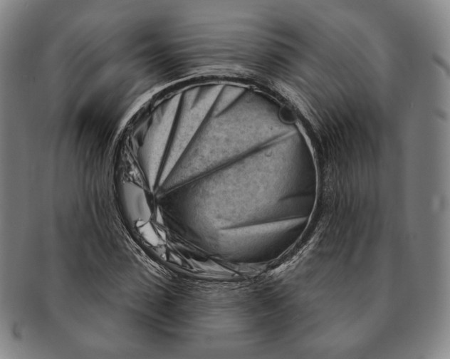 X0000090970923200708301222