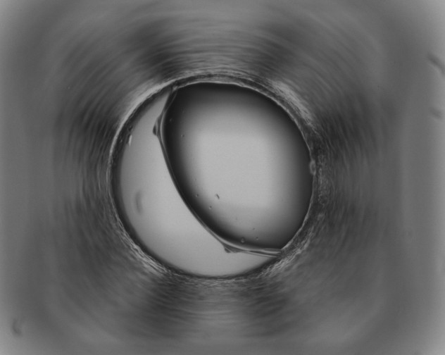 X0000090970924200708301222