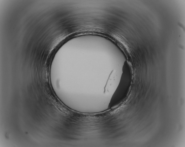 X0000090970925200708301222