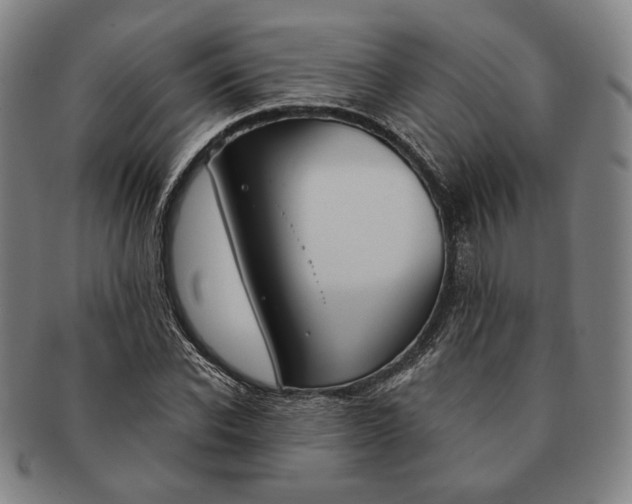 X0000090970926200708301222