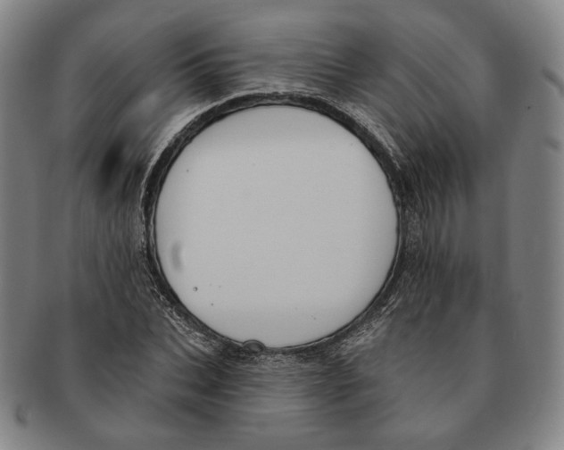 X0000090970927200708301222