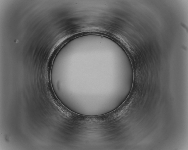 X0000090970931200708301222