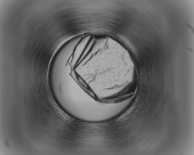 X0000090970932200708301222