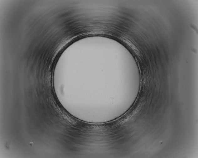 X0000090970933200708301223