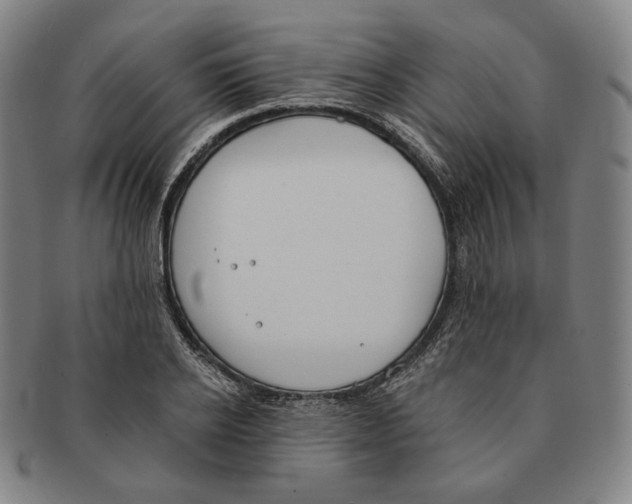 X0000090970934200708301223