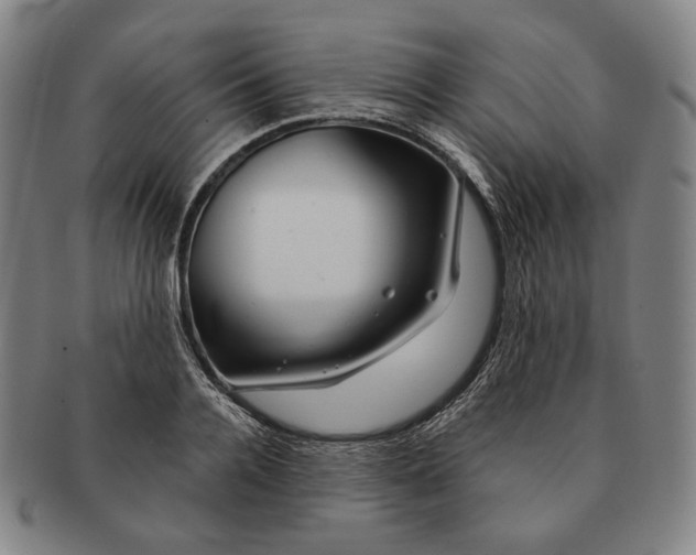 X0000090970936200708301223