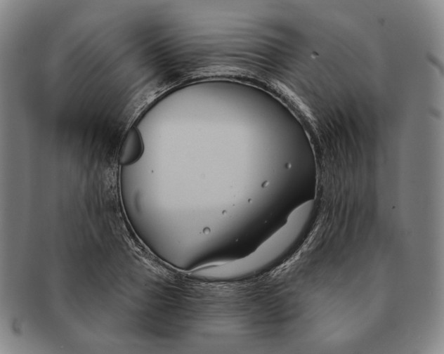 X0000090970937200708301223