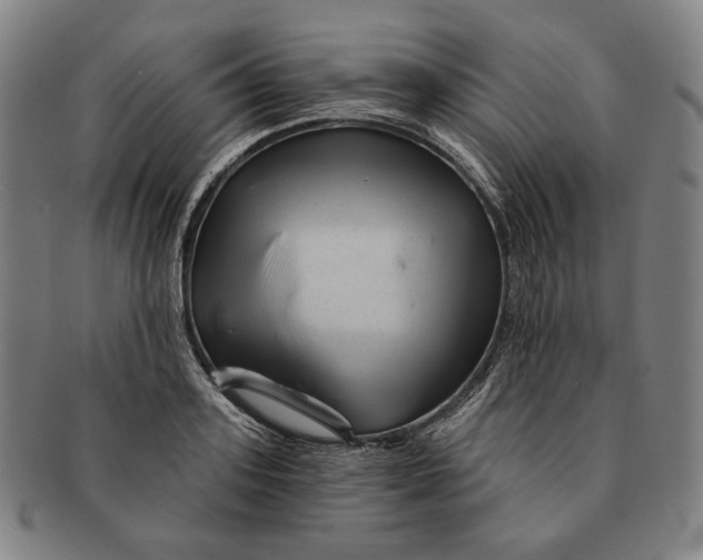 X0000090970939200708301223