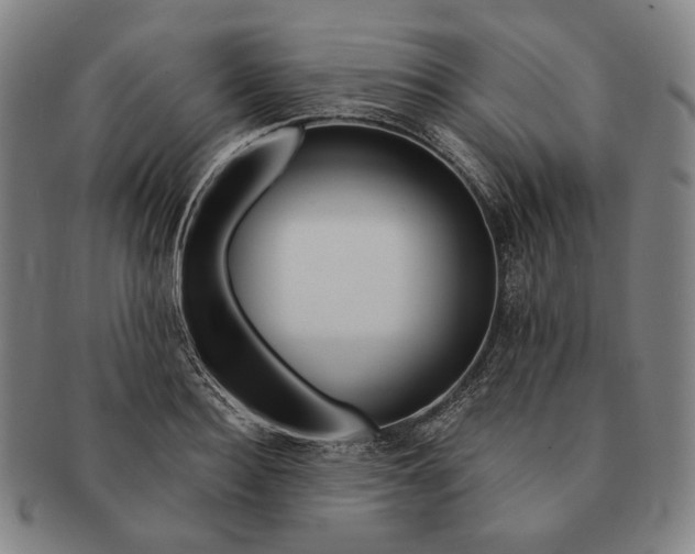 X0000090970940200708301223