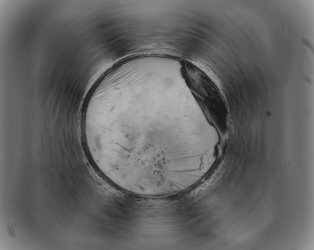 X0000090970941200708301223