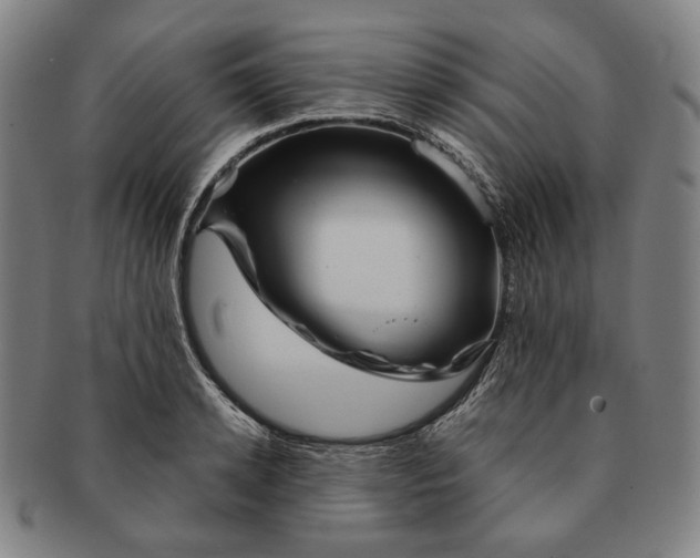 X0000090970942200708301223