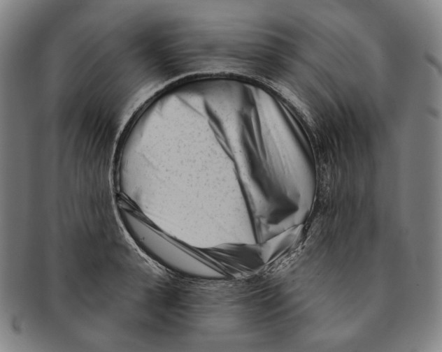 X0000090970943200708301223