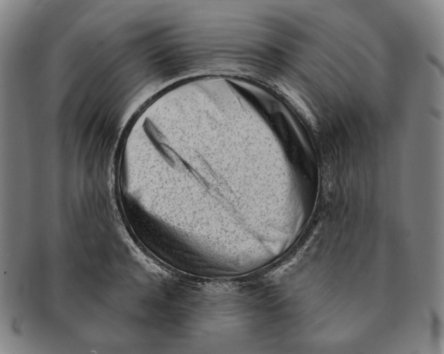 X0000090970944200708301223