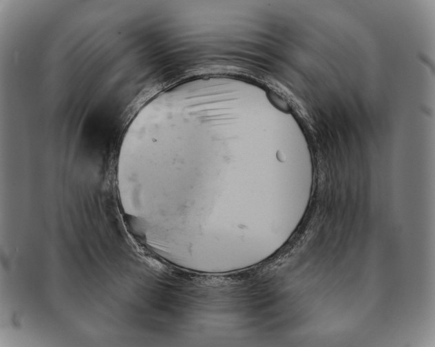 X0000090970945200708301223