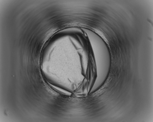 X0000090970946200708301223