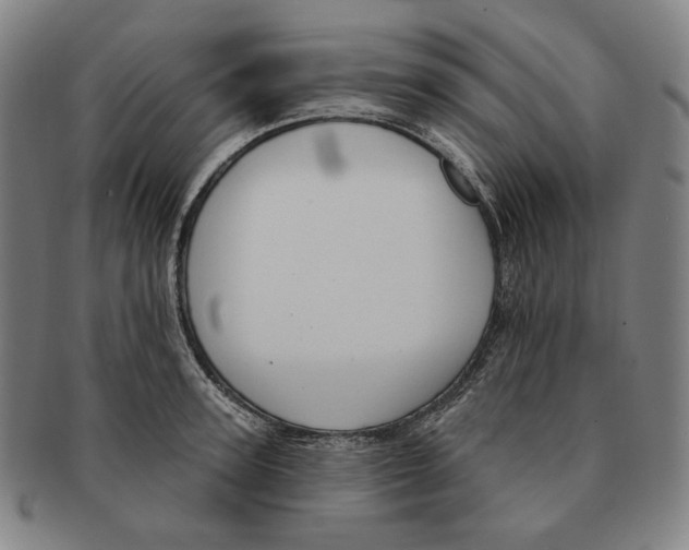 X0000090970947200708301223