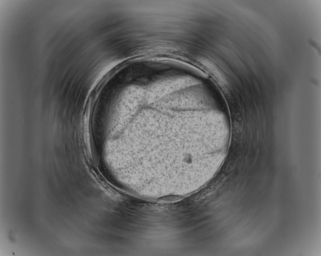 X0000090970948200708301223