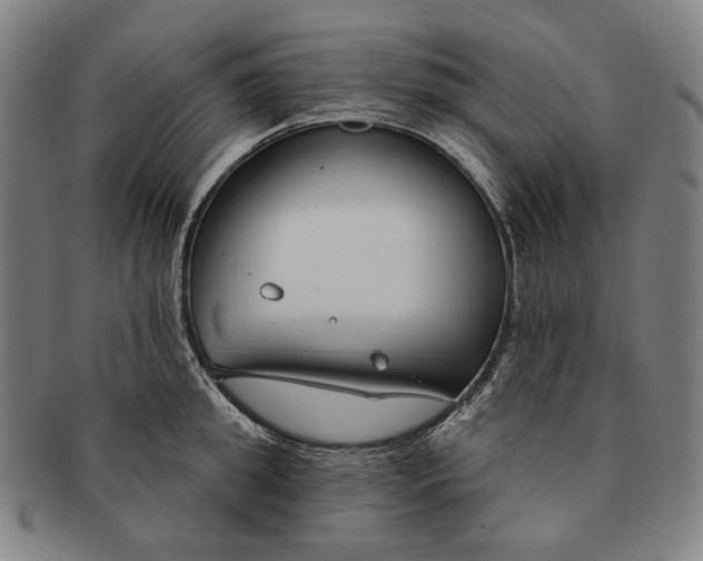 X0000090970949200708301223