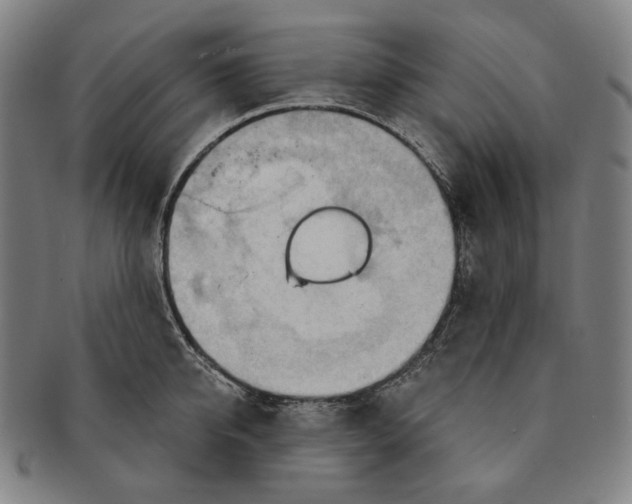 X0000090970950200708301223