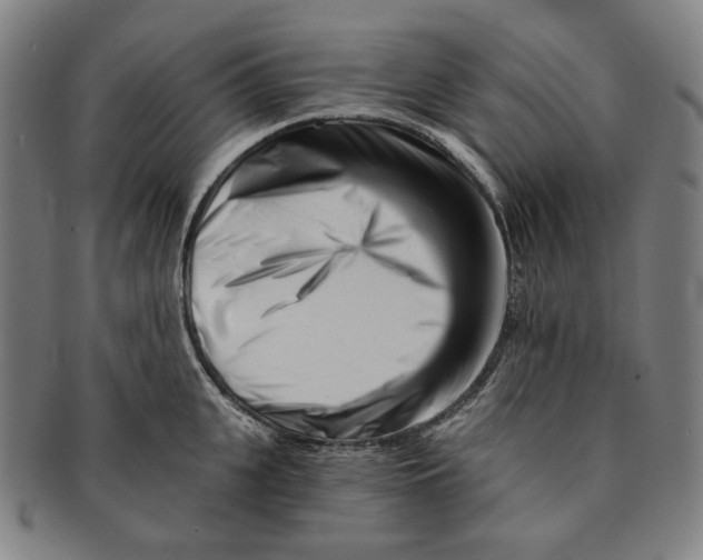 X0000090970951200708301223