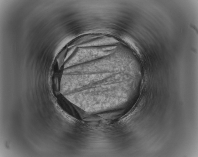 X0000090970952200708301223