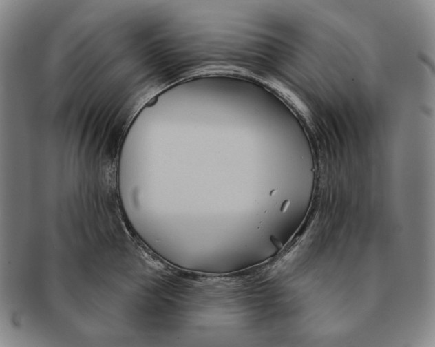 X0000090970953200708301223