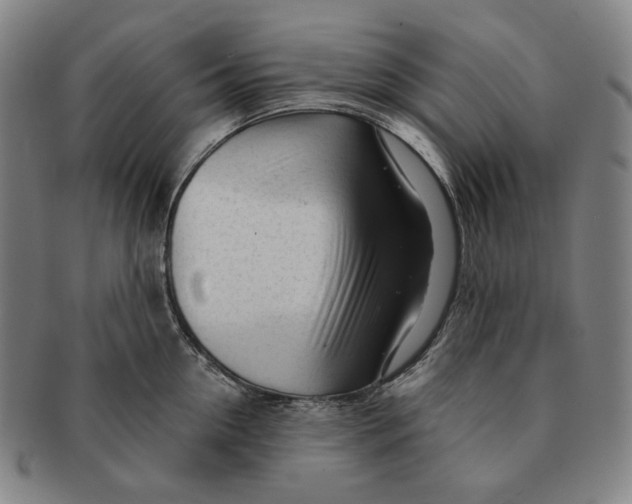 X0000090970954200708301223