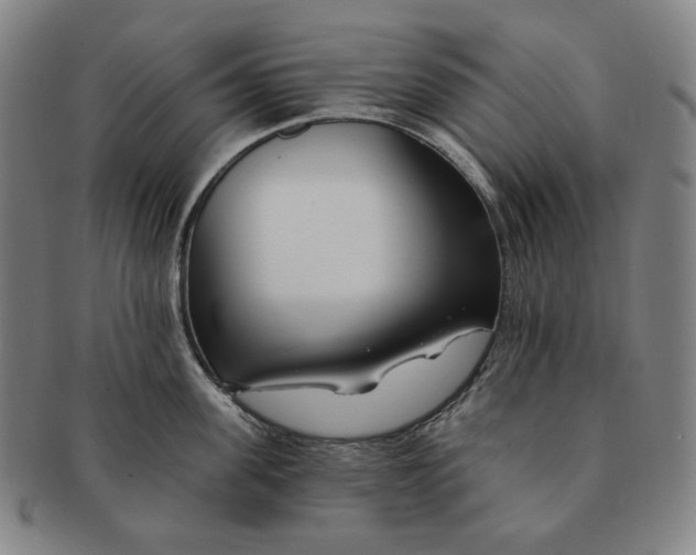 X0000090970955200708301223