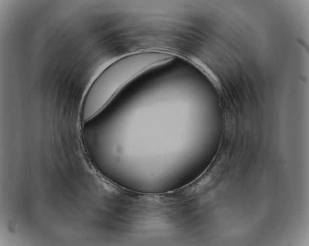 X0000090970956200708301223