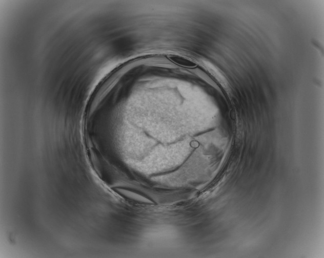 X0000090970958200708301223