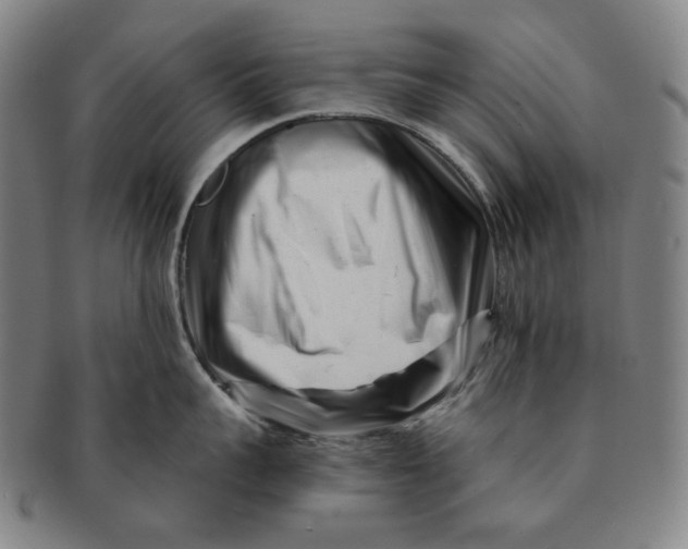 X0000090970959200708301223