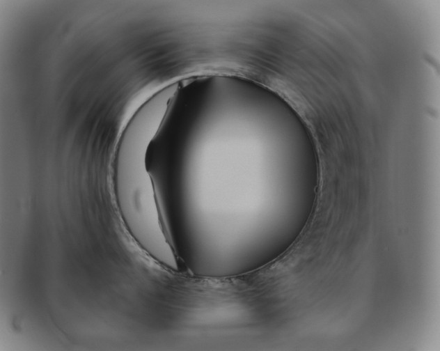 X0000090970960200708301223