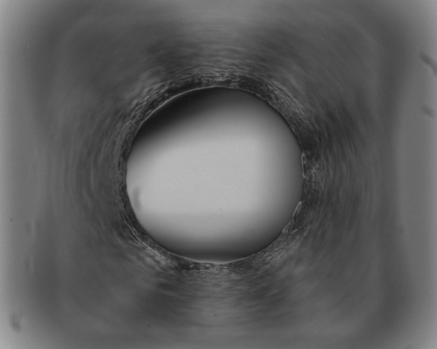 X0000090970961200708301222