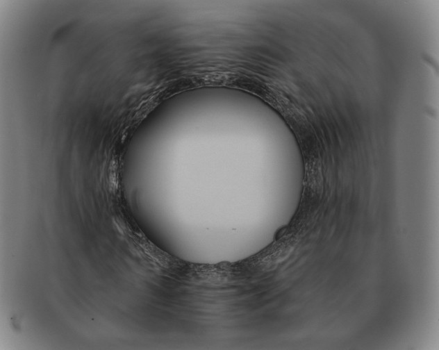 X0000090970962200708301222