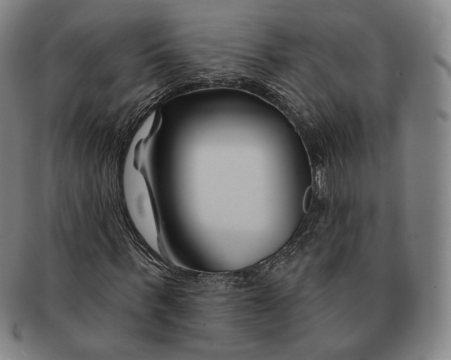 X0000090970963200708301222