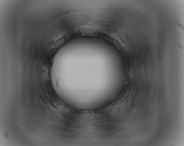 X0000090970964200708301222