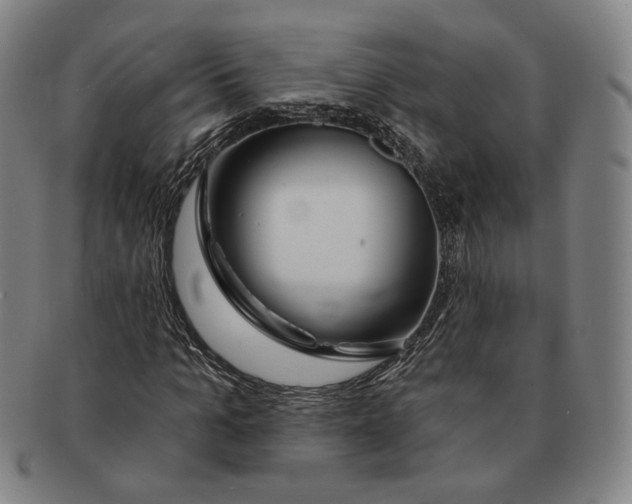 X0000090970965200708301222