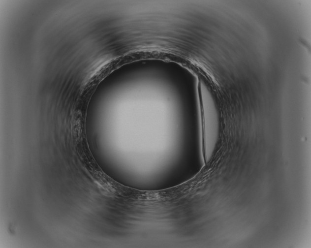 X0000090970968200708301222