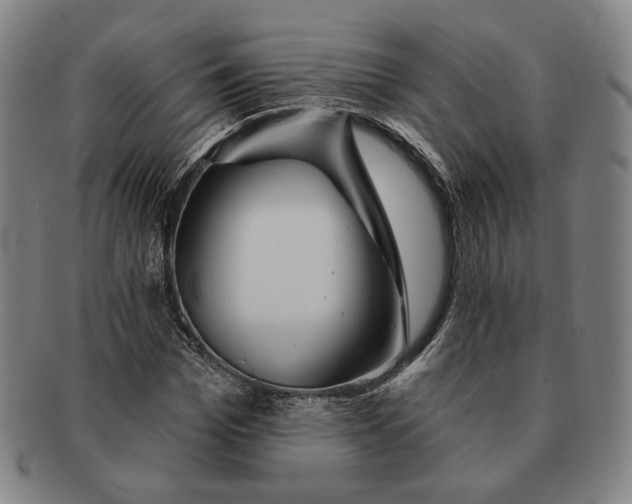 X0000090970969200708301222