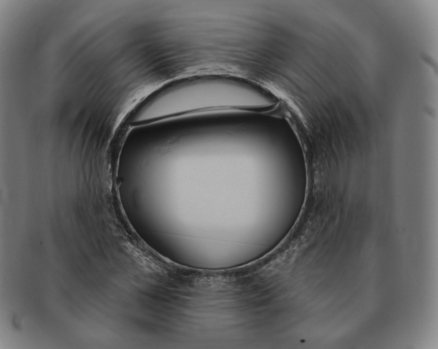 X0000090970973200708301222