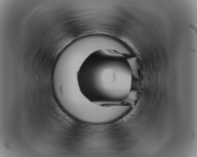 X0000090970977200708301222