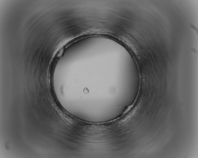 X0000090970981200708301222