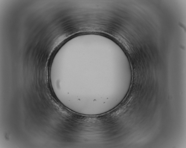 X0000090970982200708301222