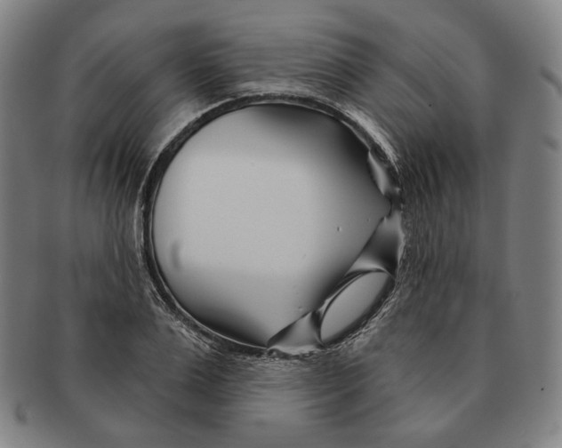 X0000090970983200708301222