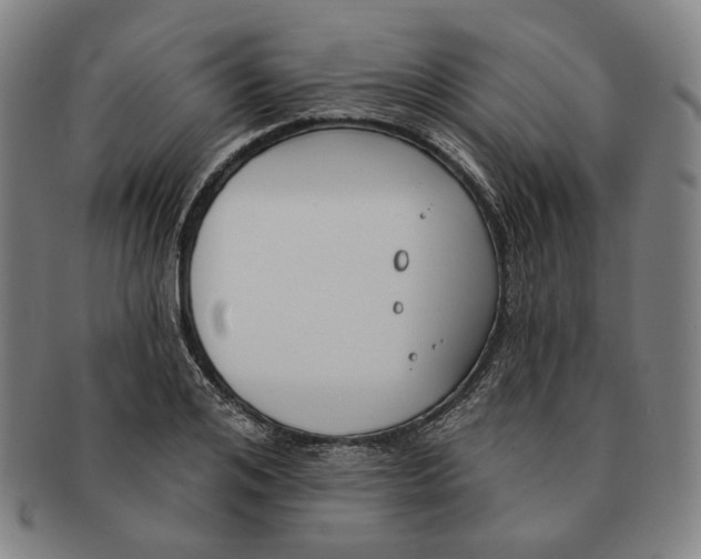 X0000090970984200708301222